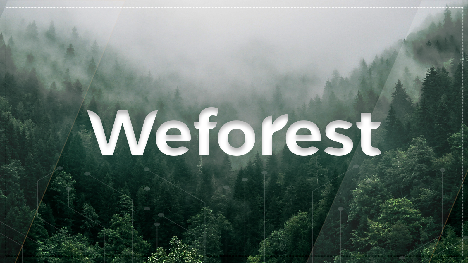 WeForest Project